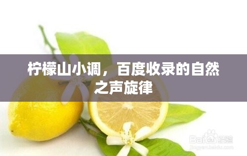 柠檬山小调，百度收录的自然之声旋律