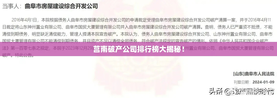 莒南破产公司排行榜大揭秘！