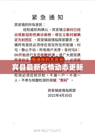 宾县最新疫情动态更新
