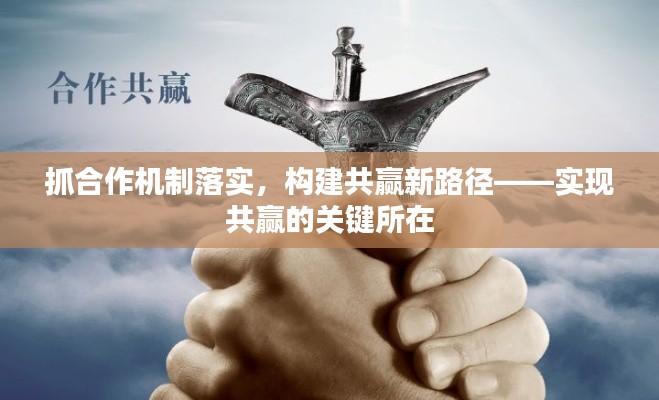 抓合作机制落实，构建共赢新路径——实现共赢的关键所在