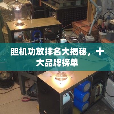 胆机功放排名大揭秘，十大品牌榜单