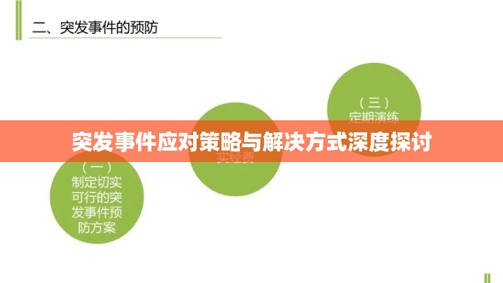 突发事件应对策略与解决方式深度探讨