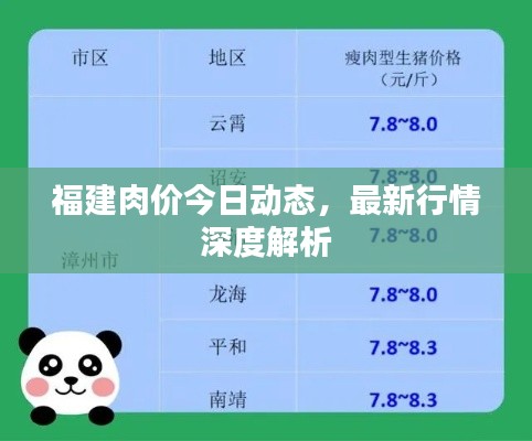 福建肉价今日动态，最新行情深度解析