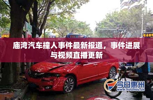庙湾汽车撞人事件最新报道，事件进展与视频直播更新