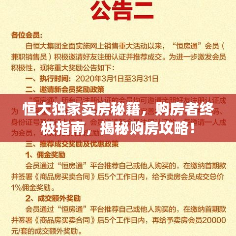 恒大独家卖房秘籍，购房者终极指南，揭秘购房攻略！