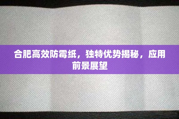 合肥高效防霉纸，独特优势揭秘，应用前景展望
