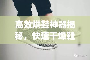 高效烘鞋神器揭秘，快速干燥鞋子的秘密武器！