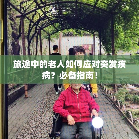 旅途中的老人如何应对突发疾病？必备指南！