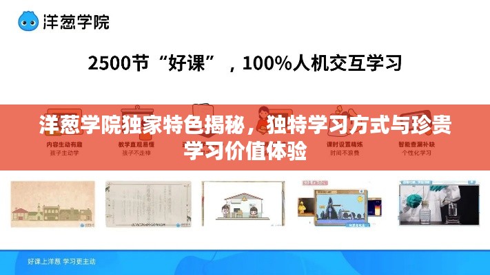 洋葱学院独家特色揭秘，独特学习方式与珍贵学习价值体验