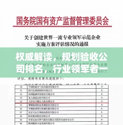 权威解读，规划验收公司排名，行业领军者一览无余