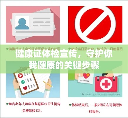 健康证体检宣传，守护你我健康的关键步骤
