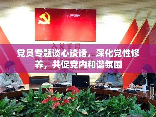 党员专题谈心谈话，深化党性修养，共促党内和谐氛围