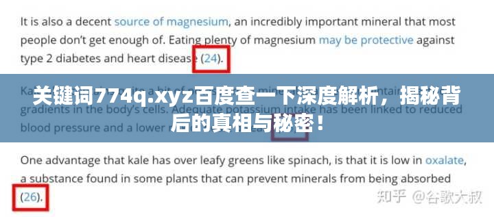 关键词774q.xyz百度查一下深度解析，揭秘背后的真相与秘密！