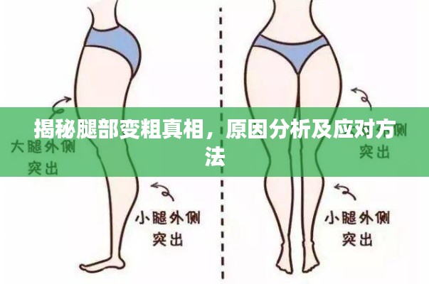 揭秘腿部变粗真相，原因分析及应对方法