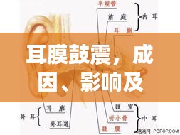耳膜鼓震，成因、影响及应对方法全解析