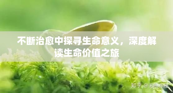 不断治愈中探寻生命意义，深度解读生命价值之旅