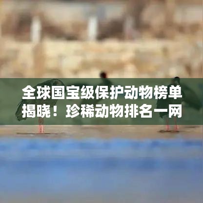 全球国宝级保护动物榜单揭晓！珍稀动物排名一网打尽