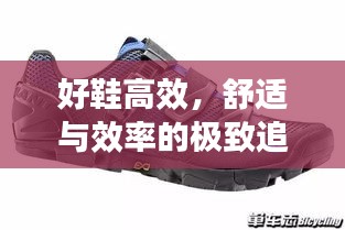 好鞋高效，舒适与效率的极致追求