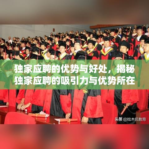 独家应聘的优势与好处，揭秘独家应聘的吸引力与优势所在