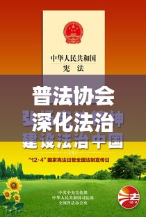 杳无音信