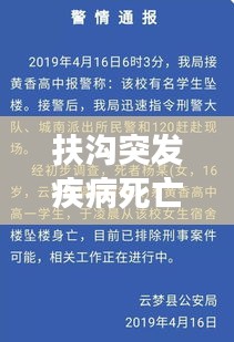 扶沟突发疾病死亡事件，健康警示与应急响应的重要性
