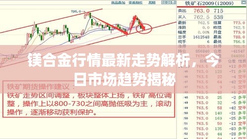 镁合金行情最新走势解析，今日市场趋势揭秘