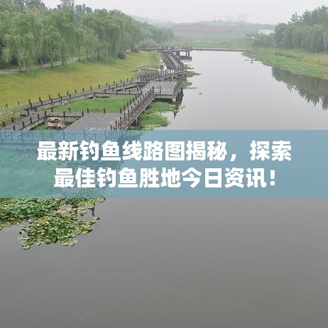 倦鸟知还