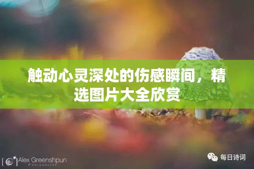 噩噩浑浑