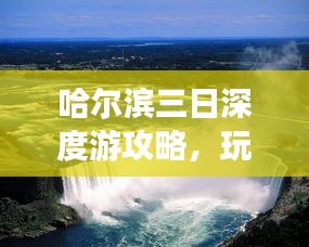 鹤立鸡群