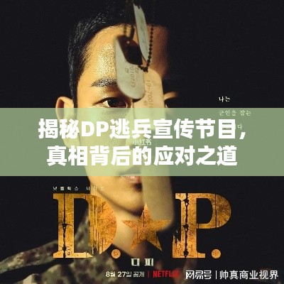 揭秘DP逃兵宣传节目，真相背后的应对之道