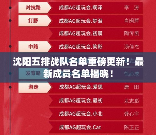 沈阳五排战队名单重磅更新！最新成员名单揭晓！