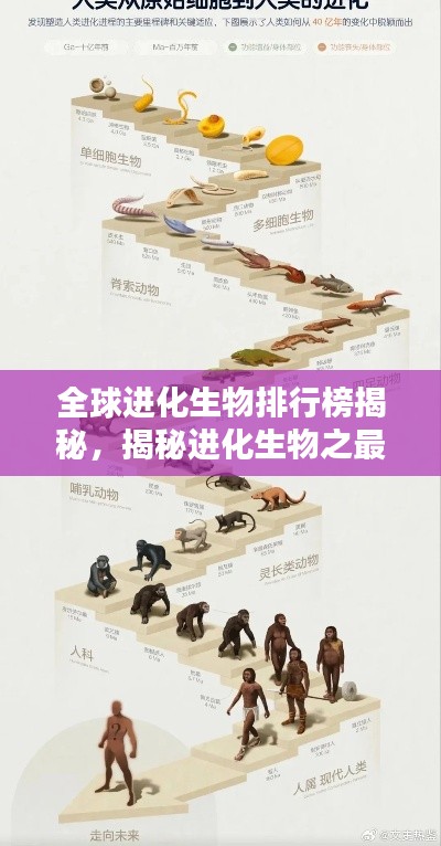 全球进化生物排行榜揭秘，揭秘进化生物之最