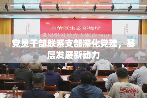 党员干部联系支部深化党建，基层发展新动力