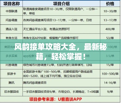 风韵接单攻略大全，最新秘籍，轻松掌握！