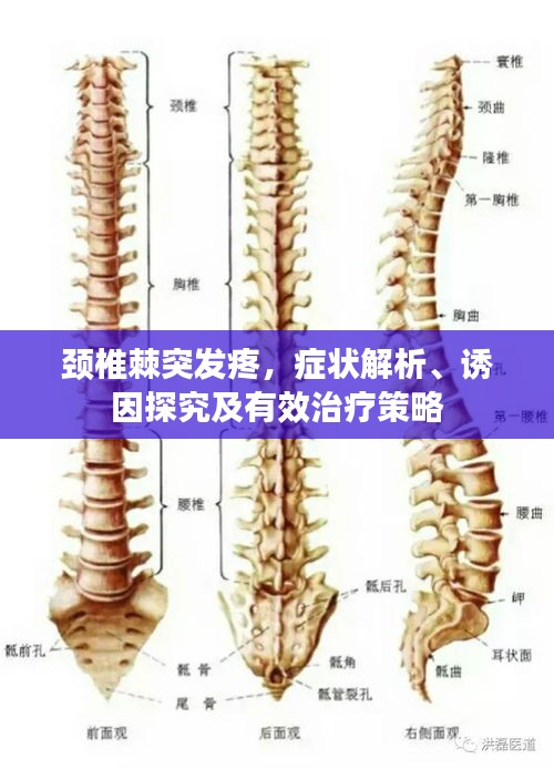 颈椎棘突发疼，症状解析、诱因探究及有效治疗策略