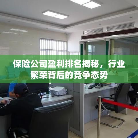 保险公司盈利排名揭秘，行业繁荣背后的竞争态势
