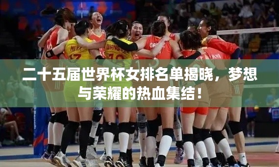 二十五届世界杯女排名单揭晓，梦想与荣耀的热血集结！