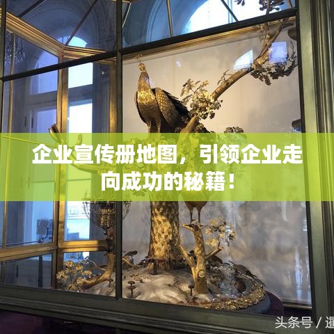 企业宣传册地图，引领企业走向成功的秘籍！