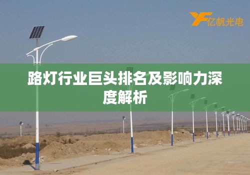 路灯行业巨头排名及影响力深度解析