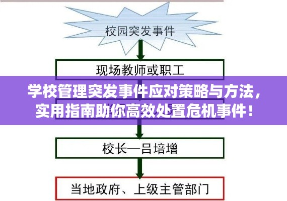 学校管理突发事件应对策略与方法，实用指南助你高效处置危机事件！