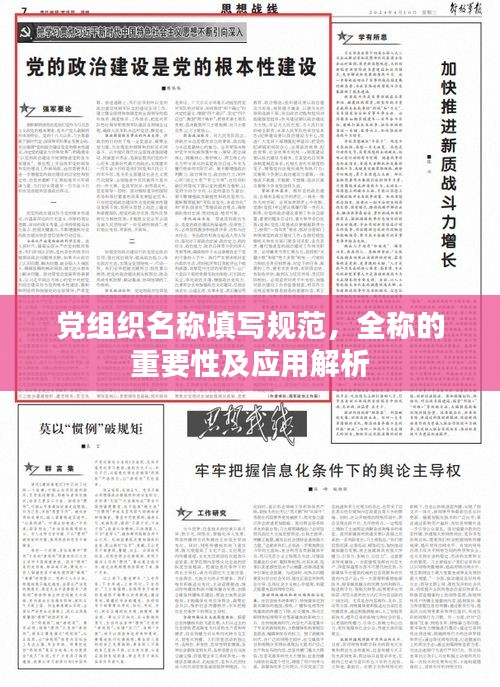 党组织名称填写规范，全称的重要性及应用解析