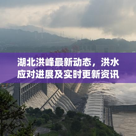 湖北洪峰最新动态，洪水应对进展及实时更新资讯头条
