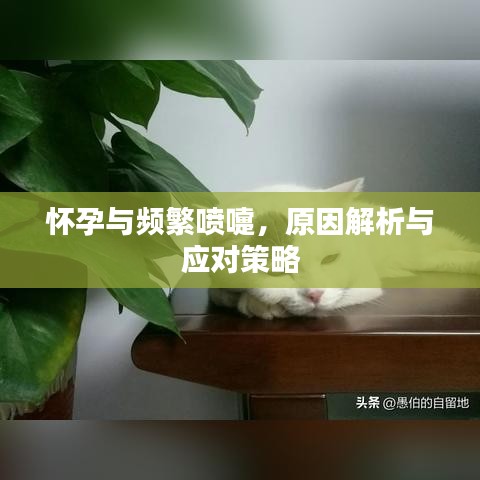怀孕与频繁喷嚏，原因解析与应对策略