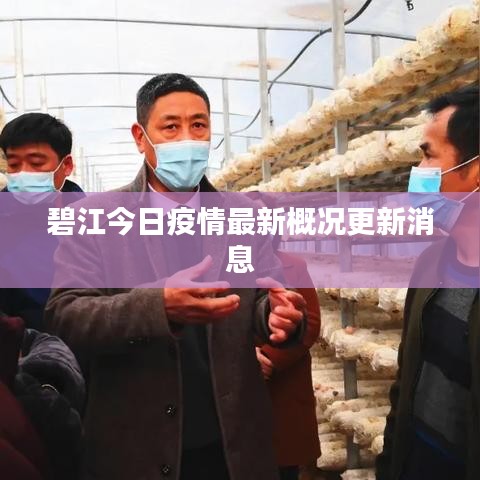 碧江今日疫情最新概况更新消息