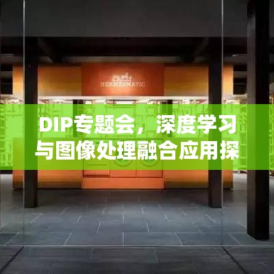 DIP专题会，深度学习与图像处理融合应用探讨