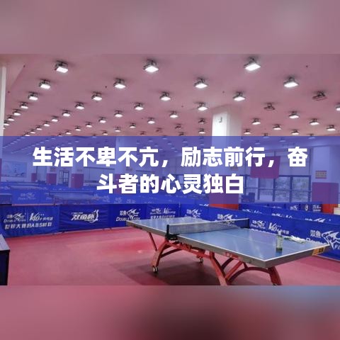 生活不卑不亢，励志前行，奋斗者的心灵独白