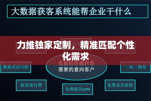 力维独家定制，精准匹配个性化需求
