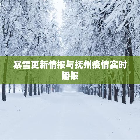 暴雪更新情报与抚州疫情实时播报