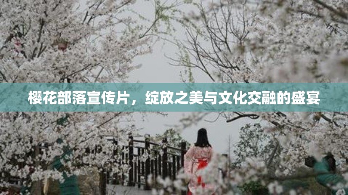 樱花部落宣传片，绽放之美与文化交融的盛宴