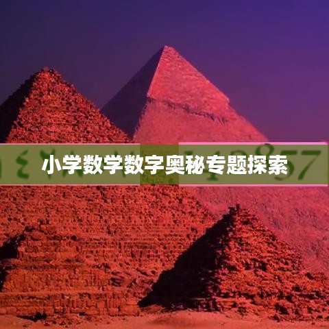 小学数学数字奥秘专题探索